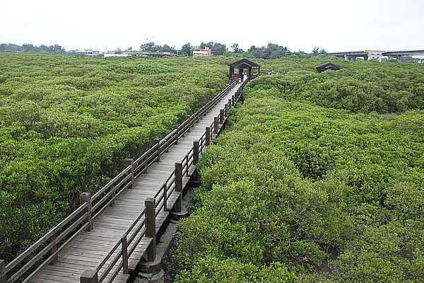 新豐自行車海岸之旅